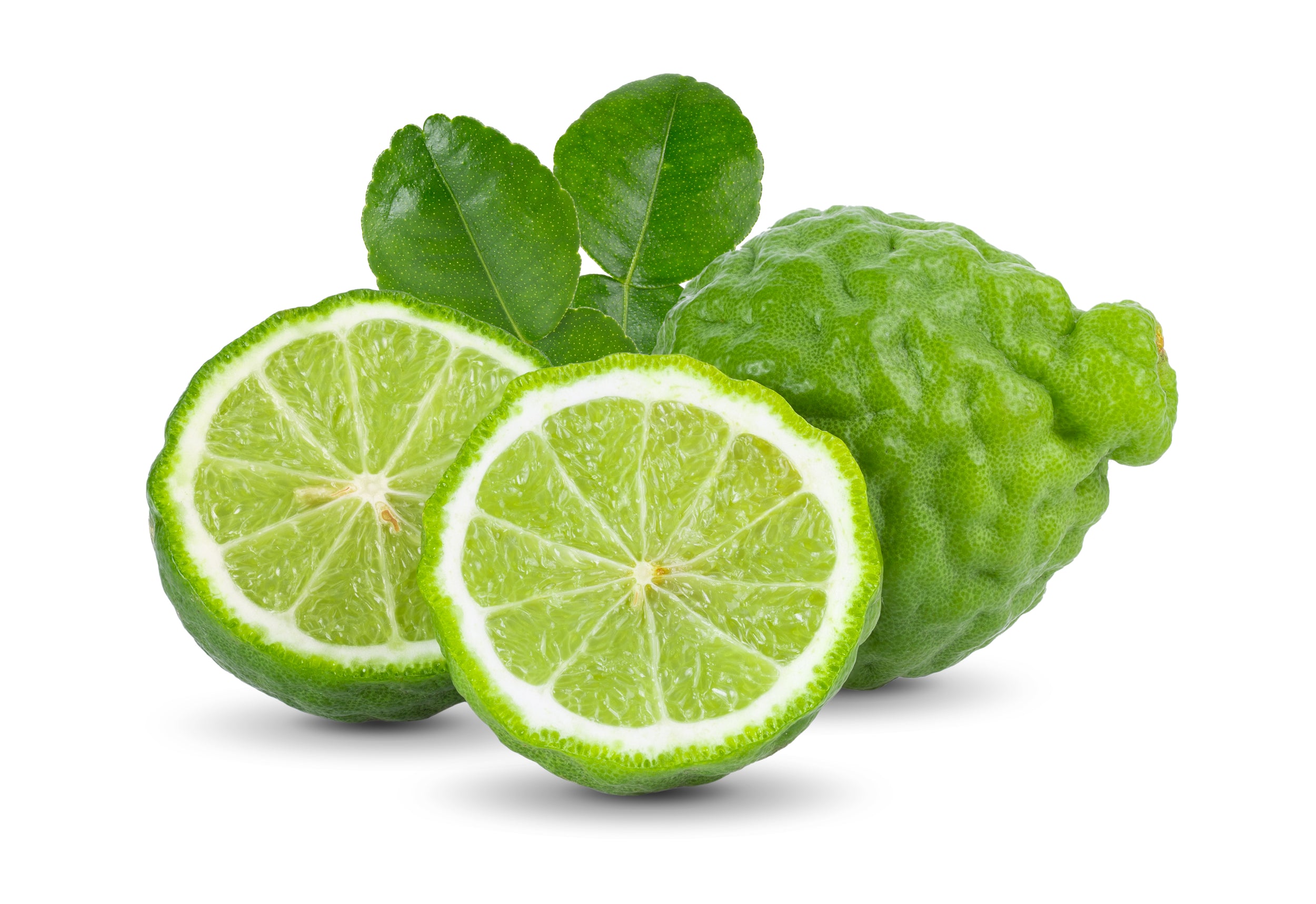 Bergamot