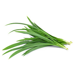 Lemon grass