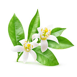 Neroli