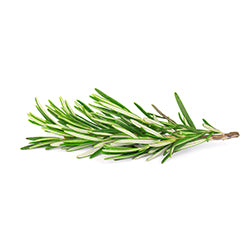 Rosemary